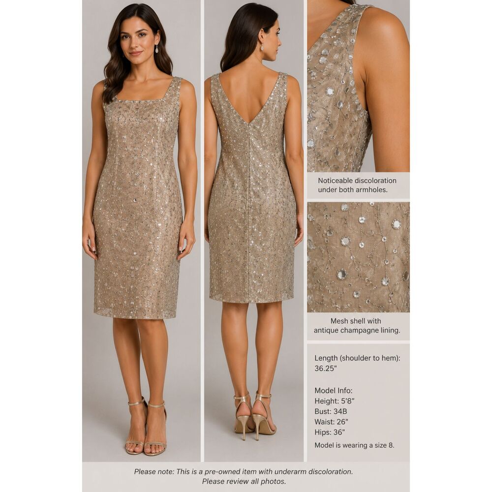 Hugo Buscati Collection Antique Champagne Mesh Sequin Sheath Dress Wedding Guest